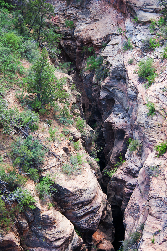 IMG_9863_RAW_800.jpg - Blick hinab in den Pine Creek Canyon