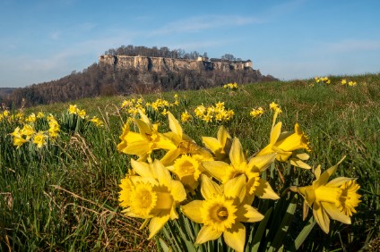 a7RIII_100244_1x1_NAL Ostern