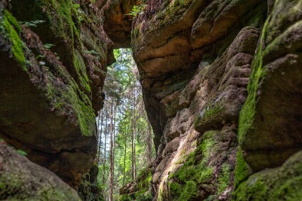 203 Uttewalder Grund Teufelsgrund