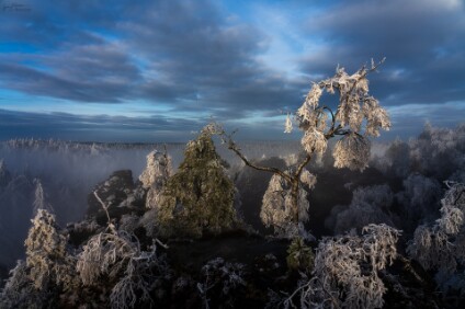 a7IV_25_07136_NAL Tissaer Wände / Tiské stěny