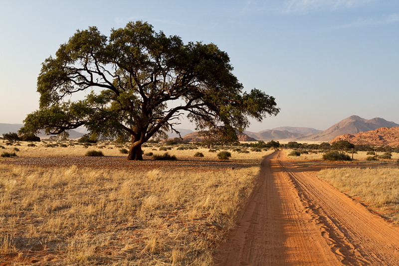 7D_18121_800.jpg - Farmweg im Inneren der Tirasberge, Koiimasis