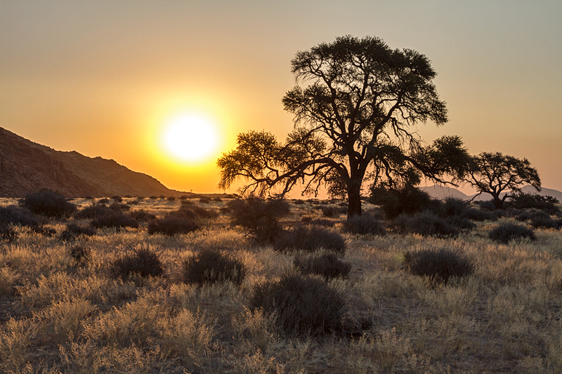 7D_18184_RAW_800.jpg - Abend auf Koiimasis