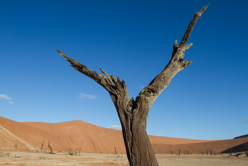 7D_18619_800.jpg - Death Vlei