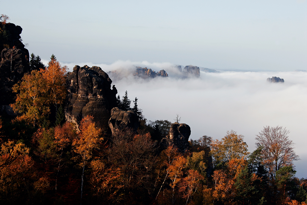 IMG_25620_20D_1024.jpg - Leuchterweibchen, Elbsandsteingebirge (Sächsische Schweiz)