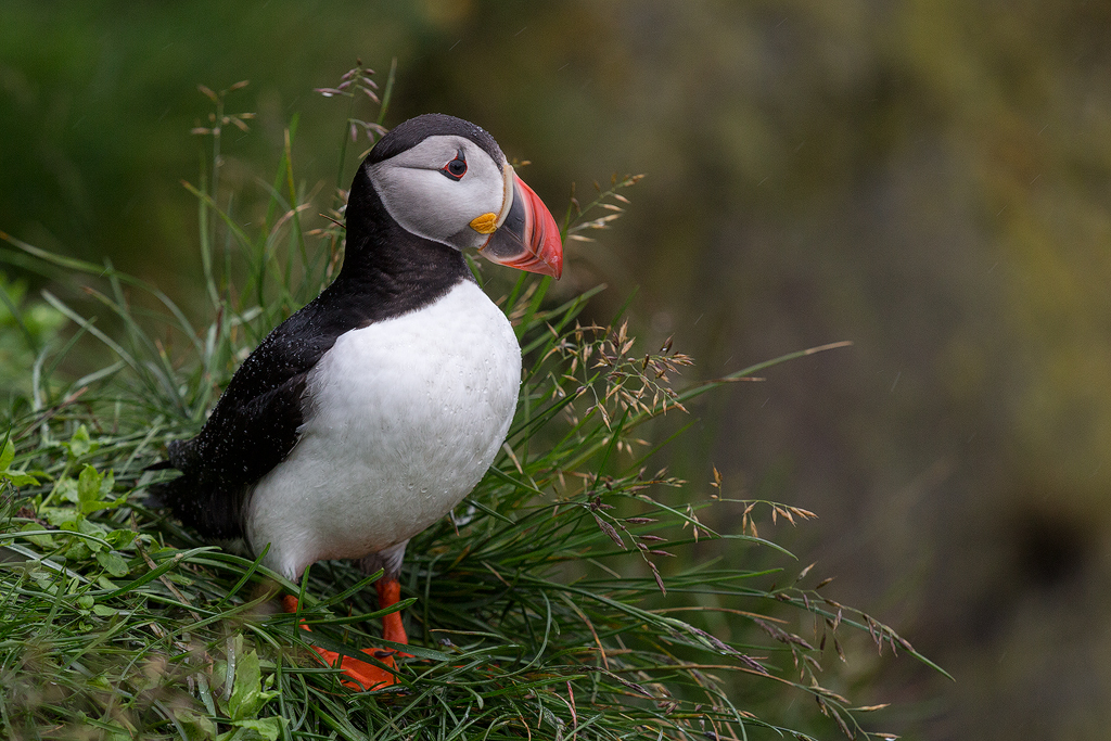 6D_77253_1024.jpg - Lundi