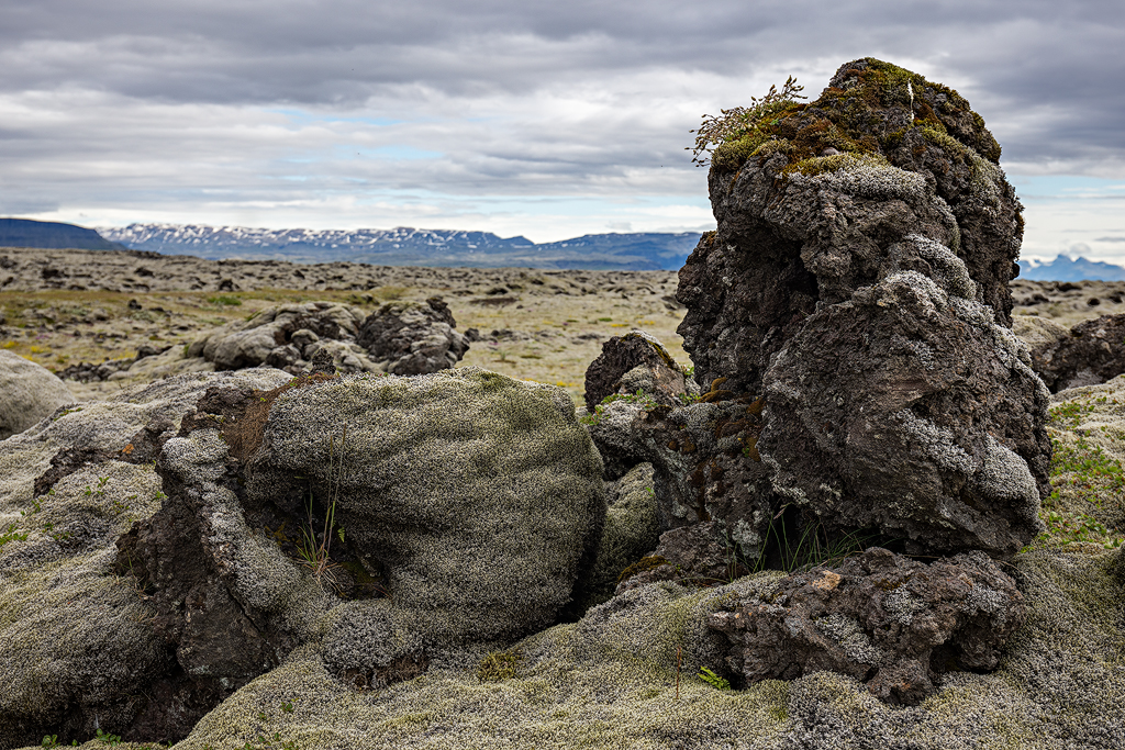 6D_78454-HDR_1024.jpg -  Lavafeld (hraun)