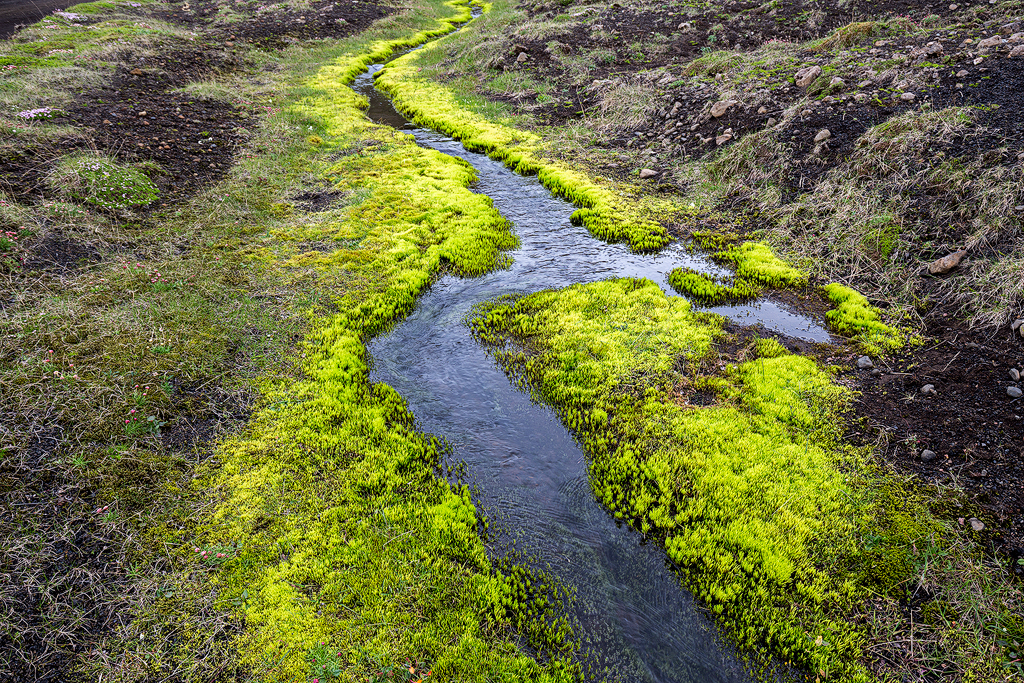 6D_78600_1024.jpg - Bach und Moos, Laki-Krater