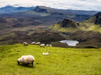 Trotternish Ridge, Skye  6D 21524 1024 © Iven Eissner