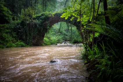 Brücke | © Iven Eissner : Aufnahmeort, Europa, Spanien, Baskenland, Bauwerke, Brücke, Gewässer, Landschaft, Fluss