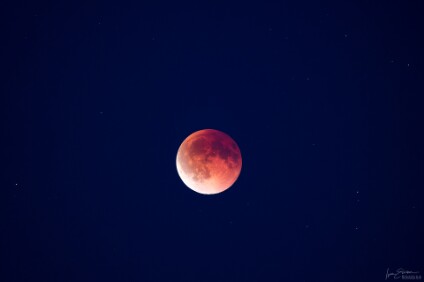 a7IV_25_06240_NAL