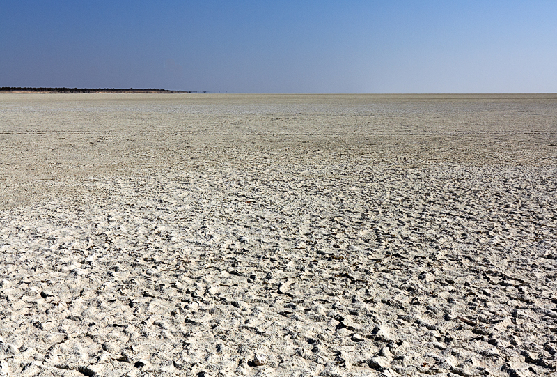 IMG_05352_1000D_800.jpg - Die Etosha Pfanne