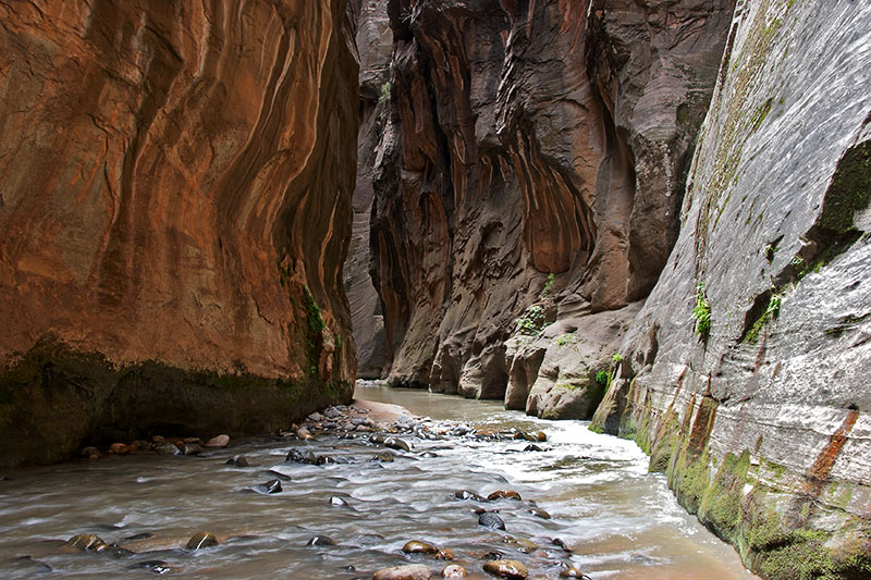 narrows(0495)_web800.jpg - USA, Utah, Zion NP, the narrows