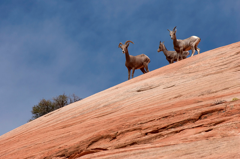 IMG_1103_800.jpg - Zuschauer