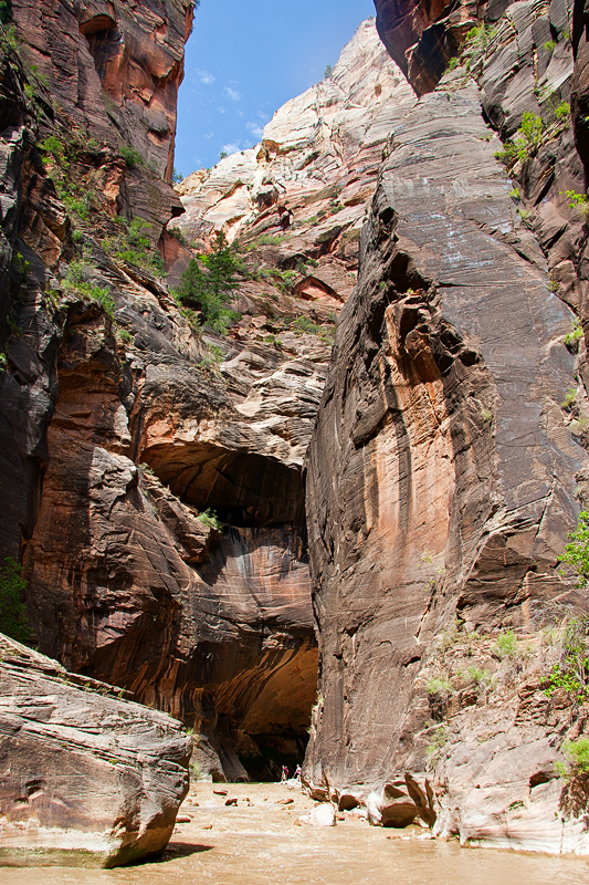 img_10826_800.jpg - The Narrows, bis zu 300m Wandhöhe